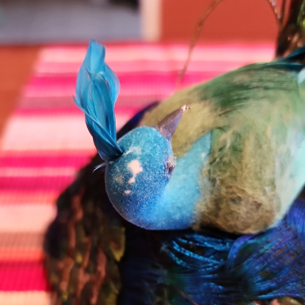 Peacock Feather Fascinator Hat - Picture 6 of 6